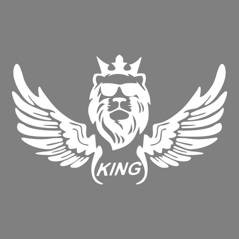 برچسب بدنه خودرو ماتریسیو طرح بال king کد M250 