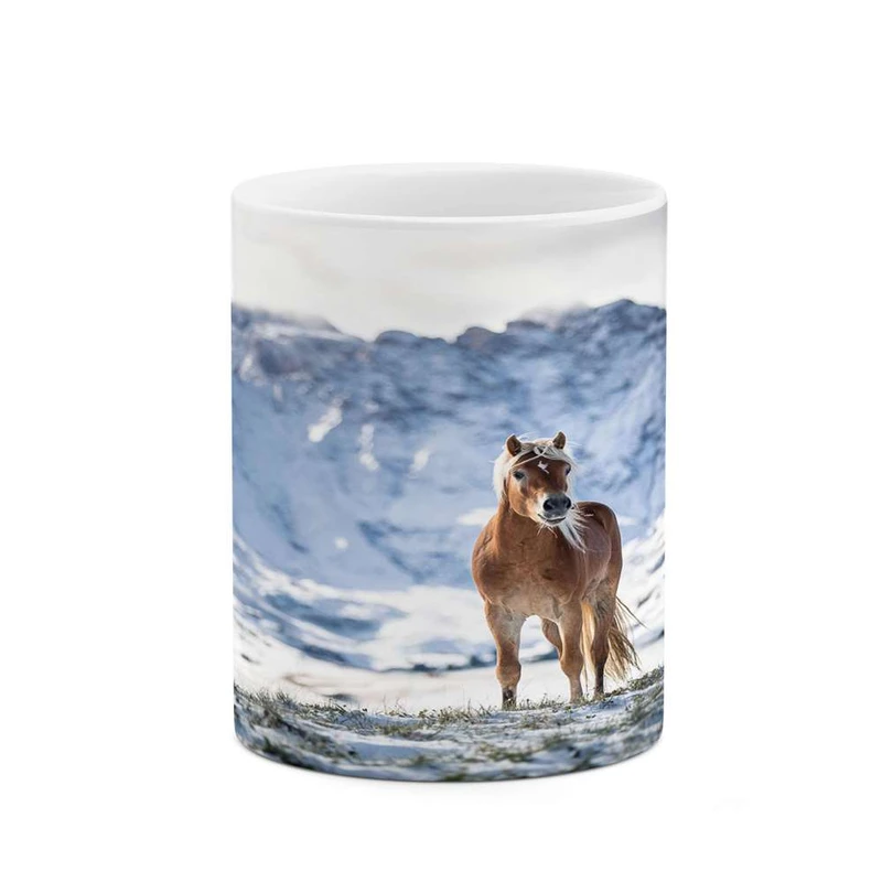 ماگ کاکتی مدل اسب کد mgh24282