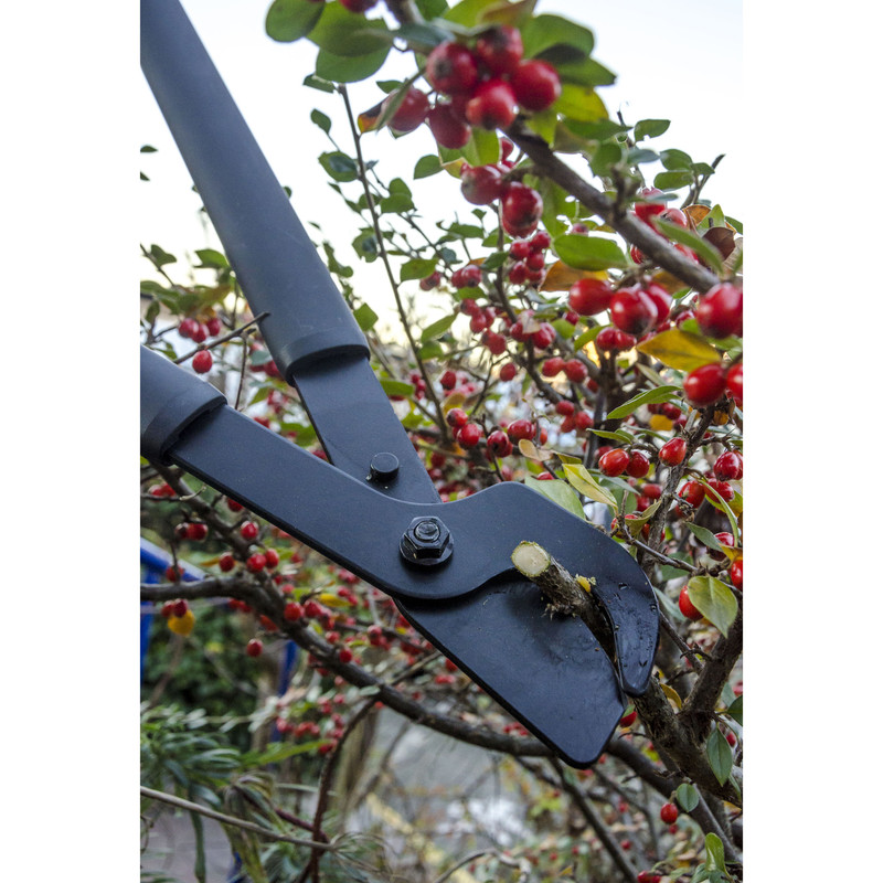 قیچی باغبانی فیسکارس مدل 112460