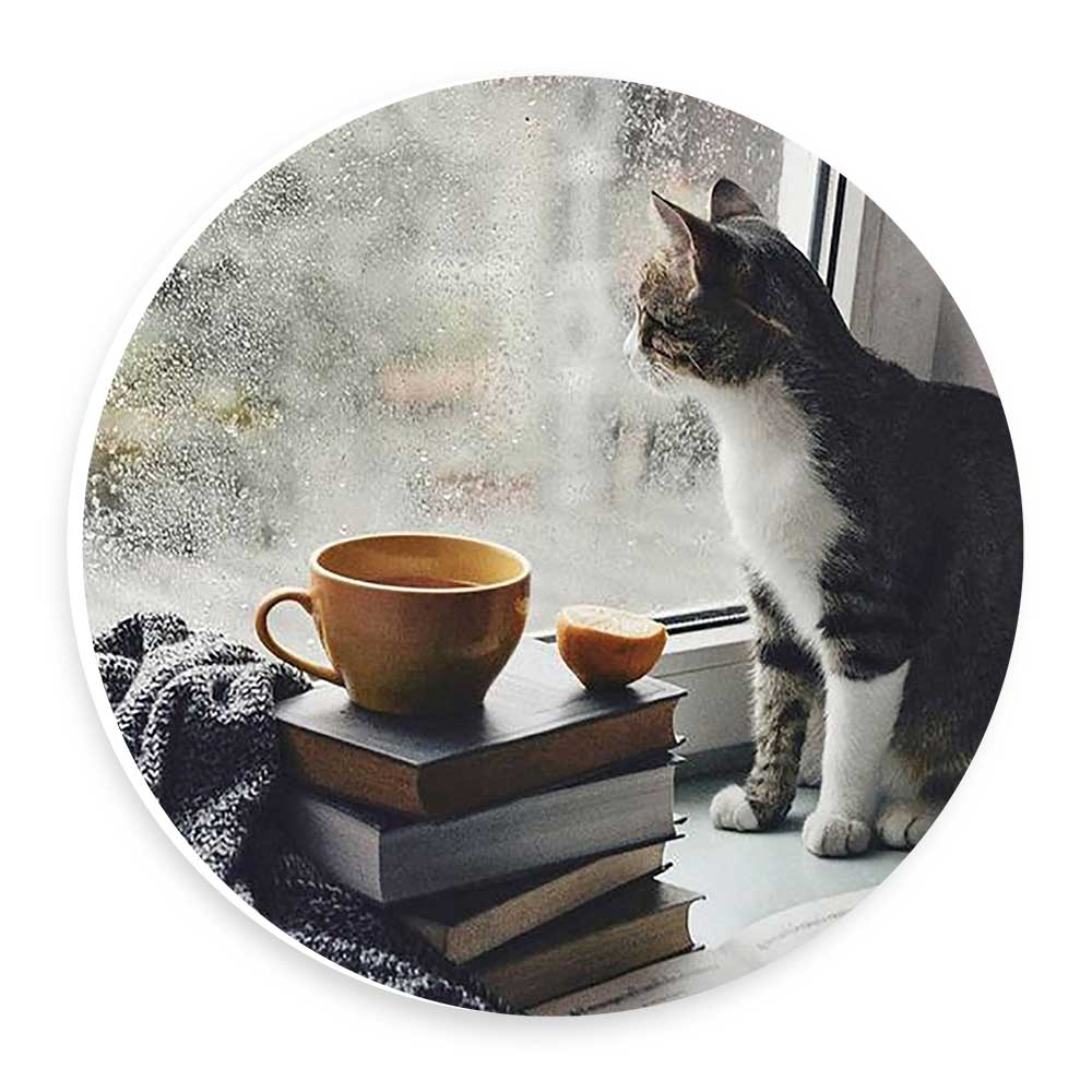 دیوارکوب طرح گربه پشت پنجره مدل wtb338