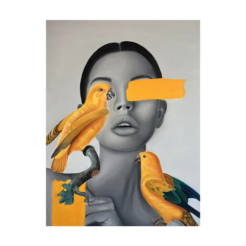 تابلو نقاشی رنگ روغن مدل دختر و پرنده مدرن کد 032