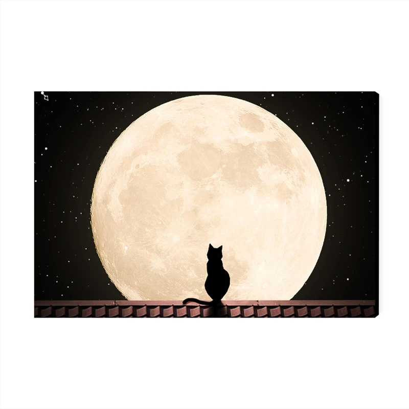 تابلو شاسی عرش مدل فانتزی ماه و گربه کد As1782