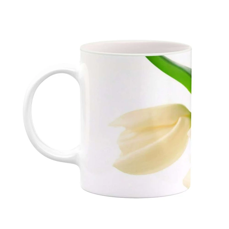 ماگ کاکتی مدل گل کد mgh12030