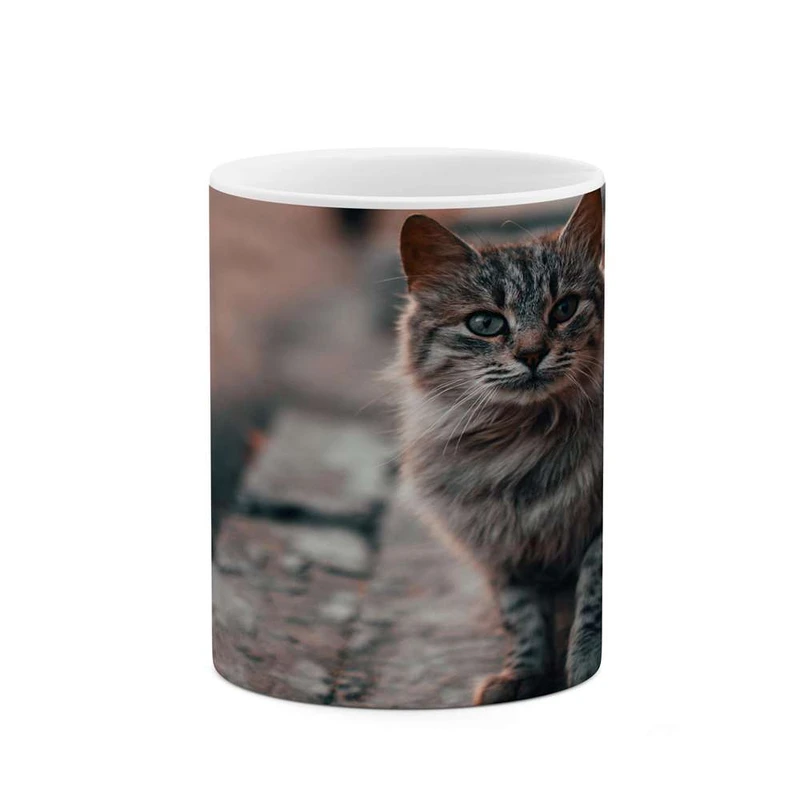 ماگ کاکتی مدل گربه کد mgh16777