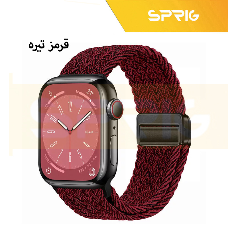 بند اسپریگ مدل Magnetic loop Braided مناسب برای اپل واچ سری SE2021/7/8/9 سایز 45 میلی متری