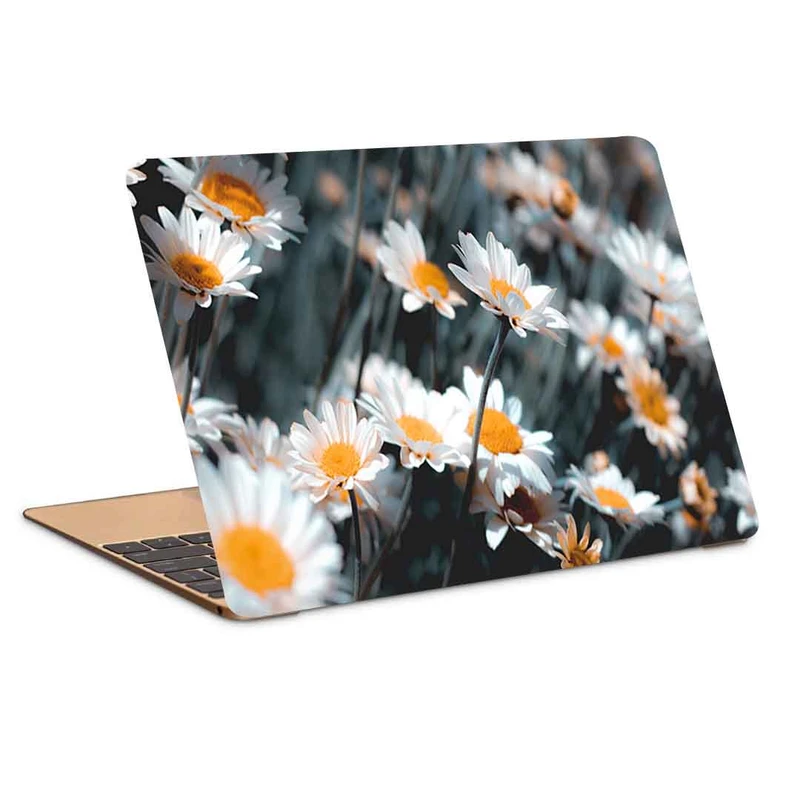 استیکر لپ تاپ طرح chamomile flowers white کد P-723 مناسب برای لپ تاپ 15.6 اینچ