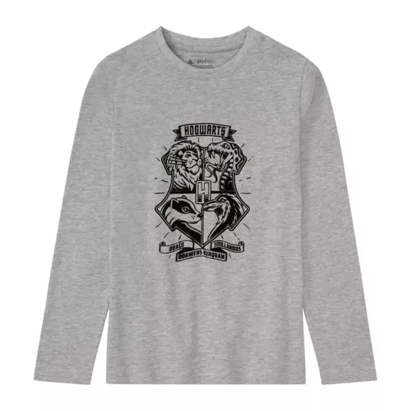 تی‌شرت آستین بلند پسرانه هری پاتر مدل 20549486