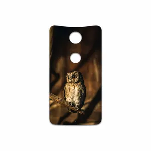 MAHOOT Owl Cover Sticker for Google Nexus 6