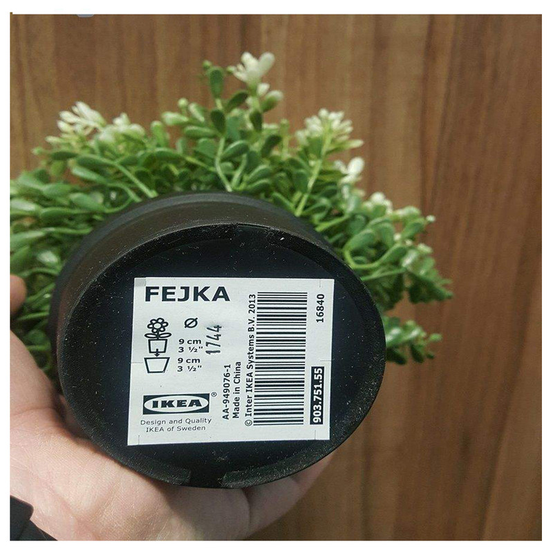 گلدان به همراه گل مصنوعی ایکیا مدل FEJKA-16840