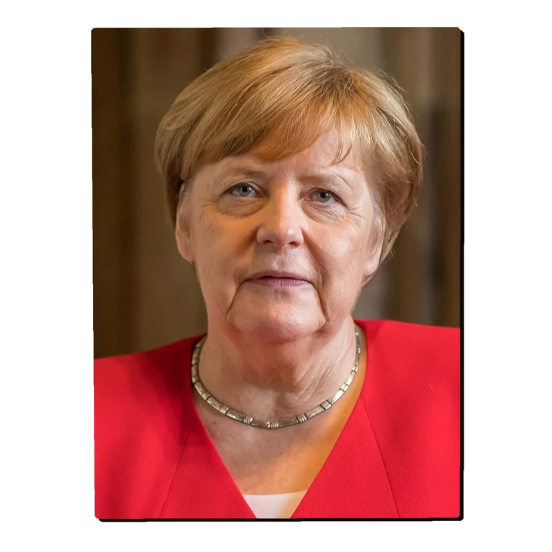 تابلو شاسی بکلیت طرح آنگلا مرکل مدل SH-14343