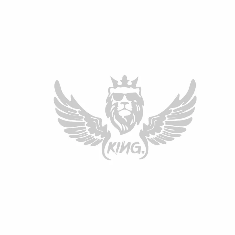 برچسب بدنه خودرو رادیانس طرح LionFly کد B40