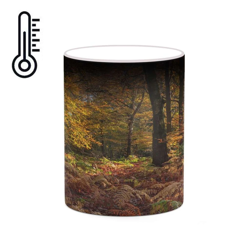 ماگ حرارتی کاکتی مدل منظره پاییزی کد mgh18578