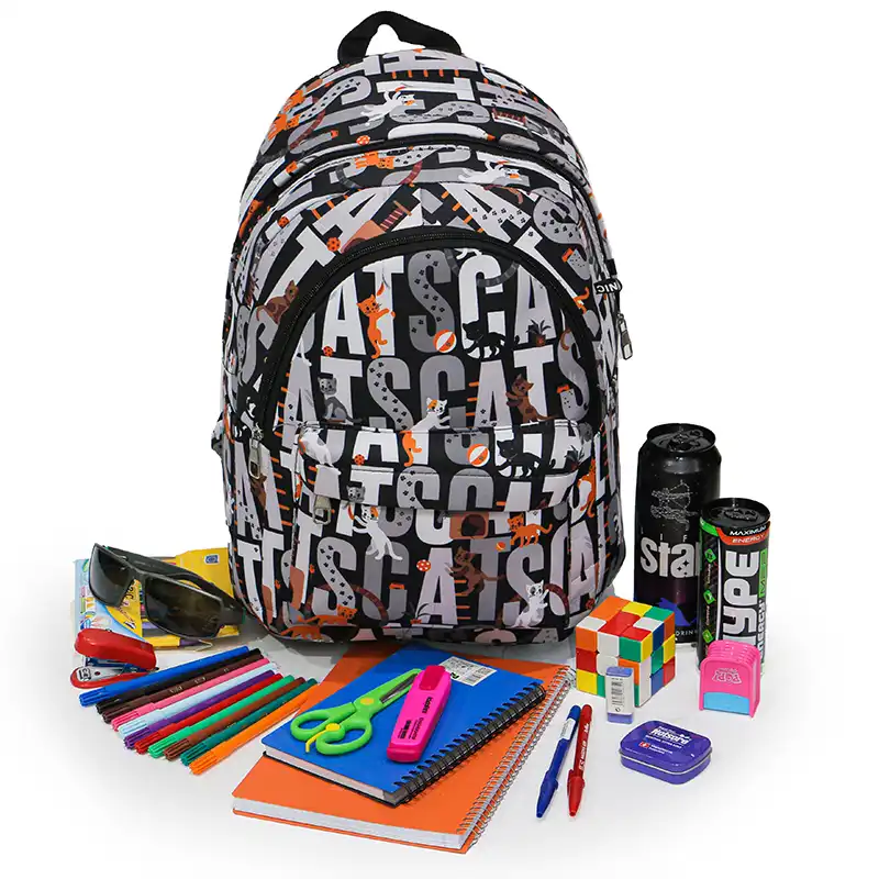 کوله پشتی پسرانه مدل WW-150003