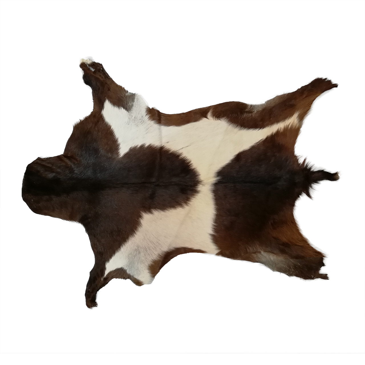 فرش پوست و چرم کمالی مدل AC-00238