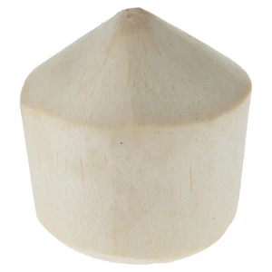 کوکوریکو (یک عدد)