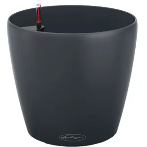 گلدان لچوزا مدل Classico Color 35