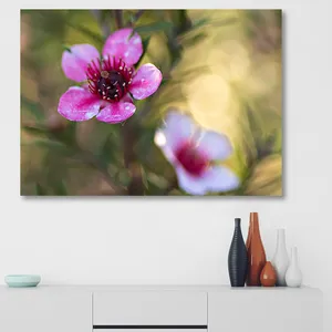 Starboy Gallery Amazing 220 Flower and Nature Tabloue