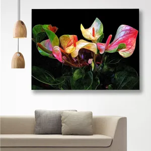 Starboy Gallery Amazing 248 Flower Tabloue