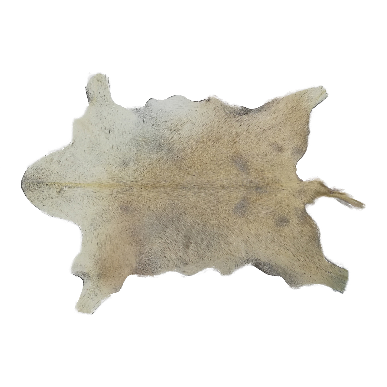 فرش پوست و چرم کمالی مدل AC-00254