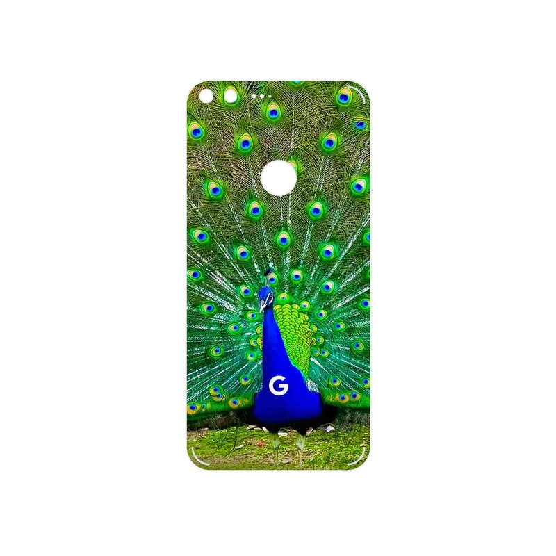 برچسب پوششی ماهوت مدل Peacock مناسب برای گوشی موبایل گوگل Pixel