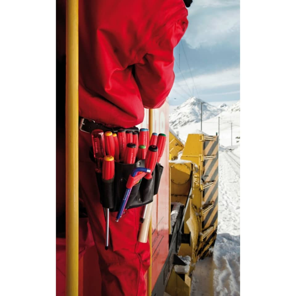 پیچ گوشتی ستاره ای سوئیس تولز مدل PB 8400.4-40 پیچ گوشتی ستاره ای سوئیس تولز مدل PB 8400.4-40