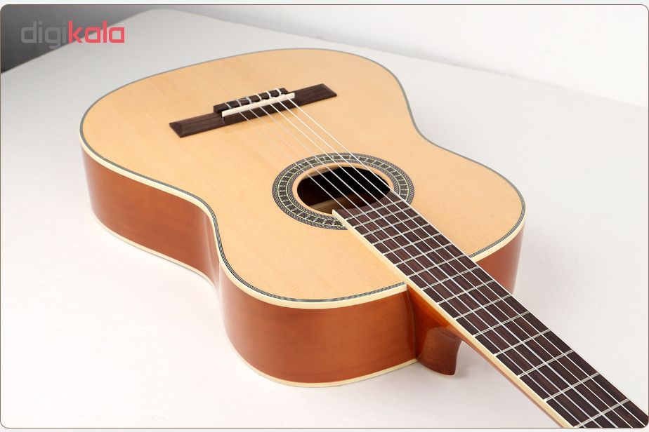 گیتار کلاسیک گریپ مدل EC-310