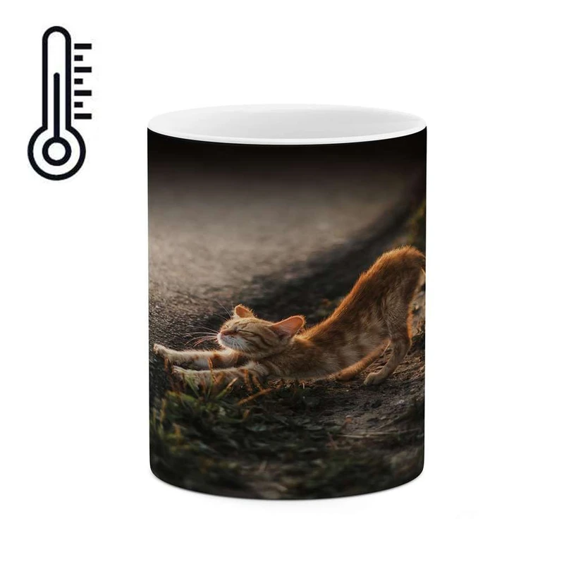 ماگ حرارتی کاکتی مدل گربه کد mgh17354