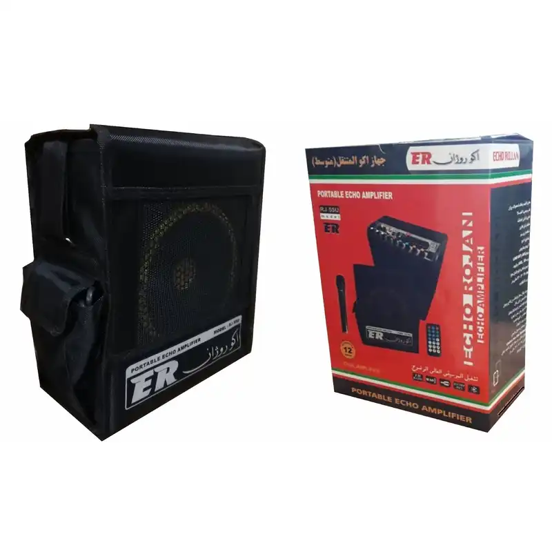 اکو همراه اکوروژان مدل RJ55W-H به همراه میکروفن هدستی بی سیم