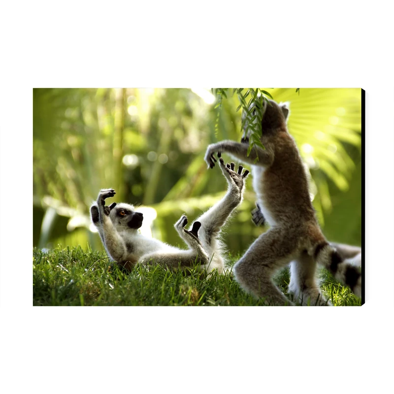 تابلو شاسی عرش مدل فانتزی میمون کد As4793