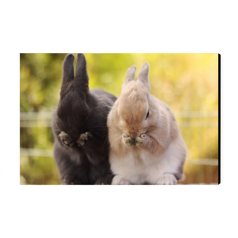 تابلو شاسی عرش مدل فانتزی خرگوش کد As3093