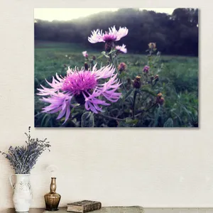 Starboy Gallery Amazing 405 Flower And Nature