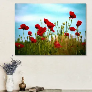 Starboy Gallery Amazing 413 Tulip Tableau
