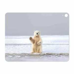 MAHOOT Polar bear Cover Sticker for Apple iPad Pro 12.9 GEN 3 2018 A2014