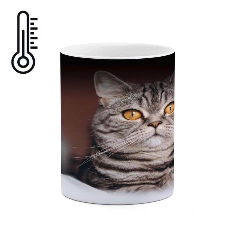 ماگ حرارتی کاکتی مدل گربه کد mgh16721