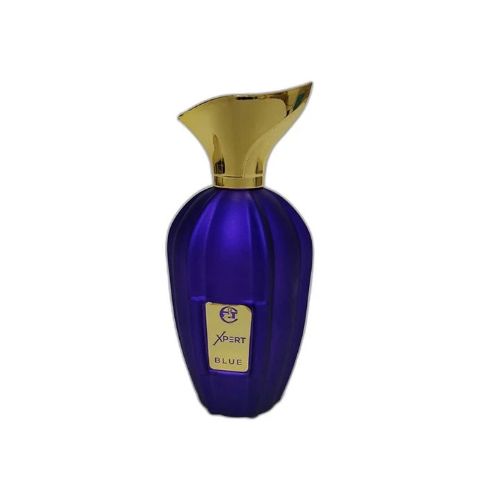 ادوپرفیوم آر تی مدل اکسپرت بلو با رایحه گرم حجم 100 میلی‌لیتر