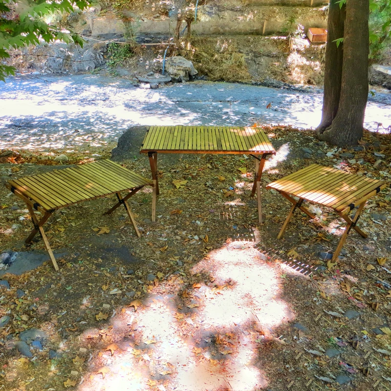 عکس شماره 8 : میز سفری تاشو مدل طبیعت چوبی سایز صفحه 90 × 65 سانتی متر