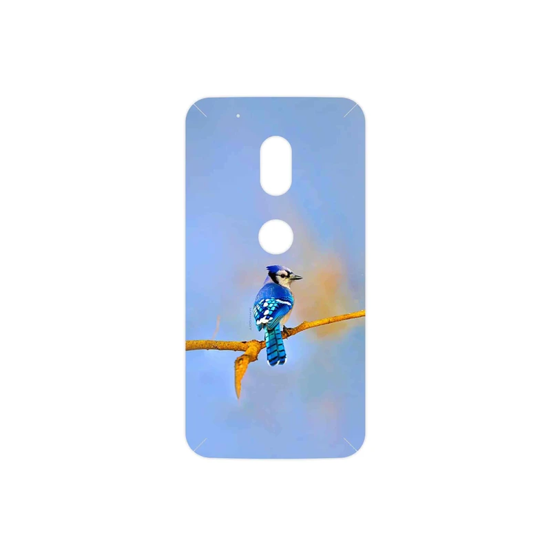 برچسب پوششی ماهوت مدل Cyanocitta cristata مناسب برای گوشی موبایل موتورولا Moto G4 Play