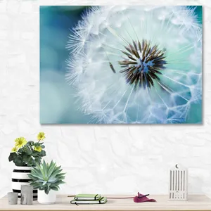 Starboy Gallery Amazing 498 Tableau