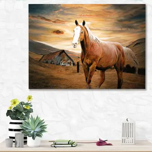 Starboy Gallery Amazing 512 Tableau
