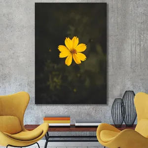 Starboy Gallery Amazing 555 Tableau
