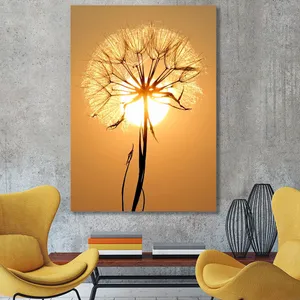 Starboy Gallery Amazing 560 Tableau