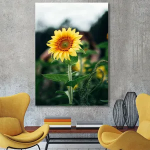 Starboy Gallery Amazing 568 Tableau