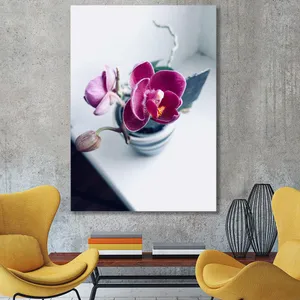 Starboy Gallery Amazing 571 Tableau
