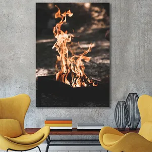 Starboy Gallery Amazing 554 Tableau