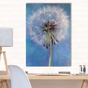 Starboy Gallery Amazing 286 Tableau