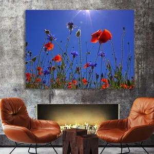 Starboy Gallery Amazing 579 Tableau