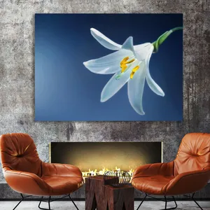 Starboy Gallery Amazing 586 Tableau