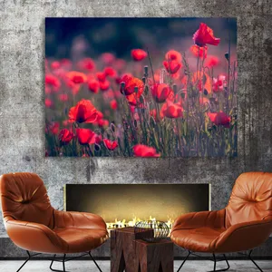 Starboy Gallery Amazing 589 Tableau