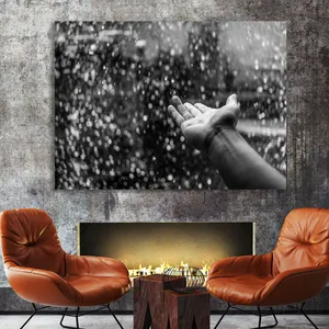 Starboy Gallery Amazing 591 Tableau