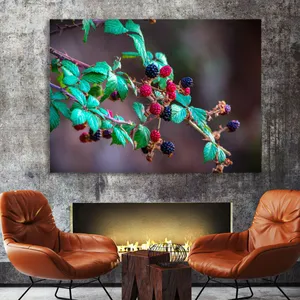 Starboy Gallery Amazing 602 Tableau